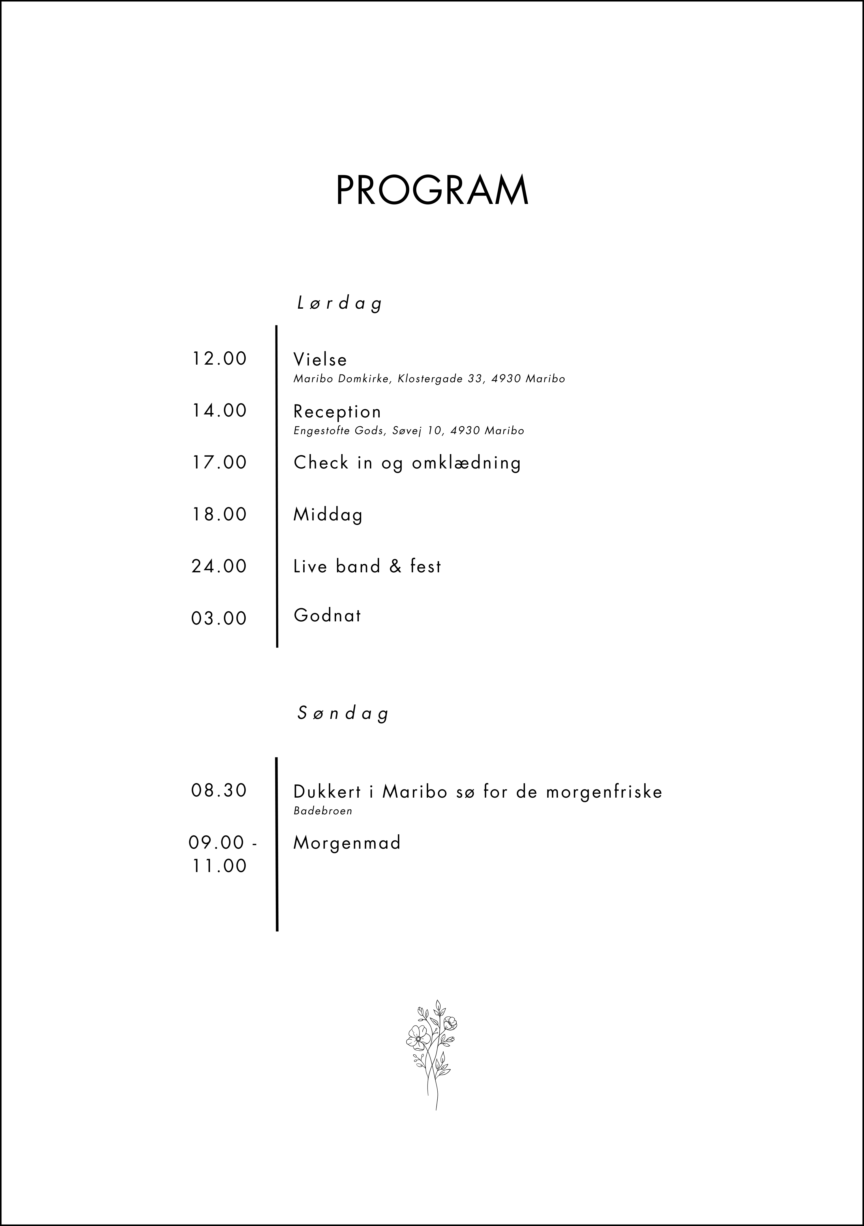 Programoversigt v2